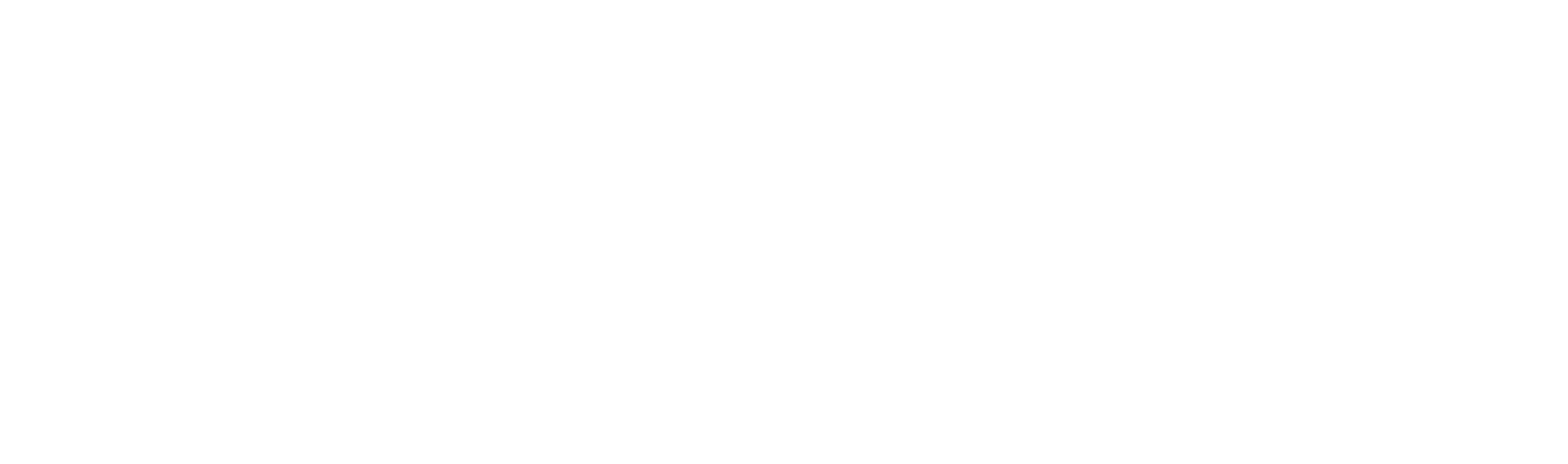 Losepa Lojistik